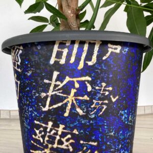Dekorativer Pflanzentopf Asiatische Schriftzeichen
