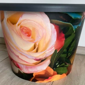 Blumentopf Rosen