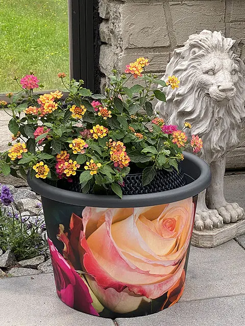 Pflanzentöpfe Produkte