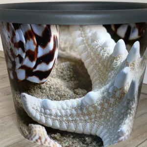 Pflanzentopf Muscheln