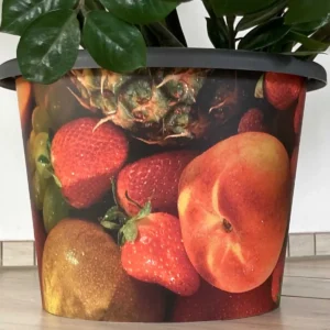 Dekorativer Pflanzentopf Obst