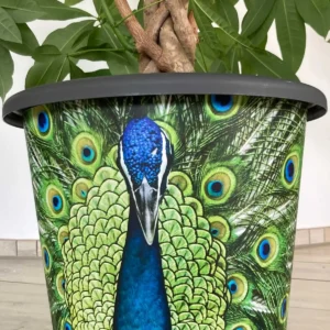 Dekorativer Pflanzentopf Pfau