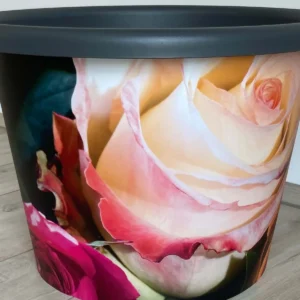 Design Pflanzentopf Rosen